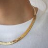 Collar Snake