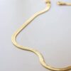 Collar Snake