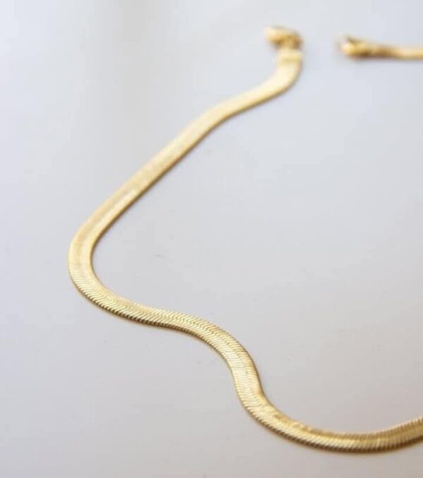 Collar Snake