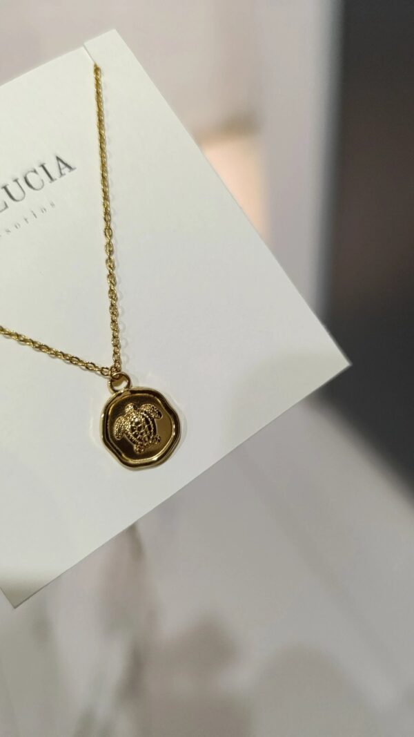 Collar Tortuga