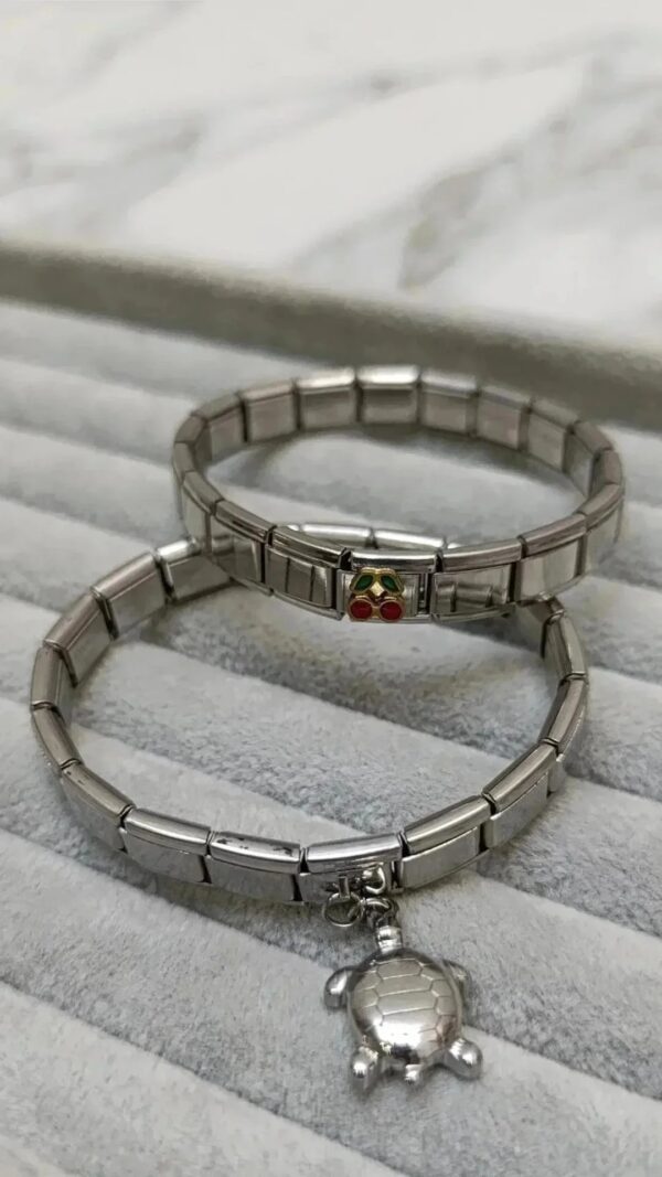 Set Cereza-Tortuga🐢